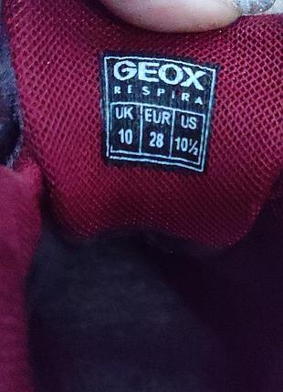 Ботинки демисезонные тм geox с мембраной amphibiox р. 28, стелька 17,5 6