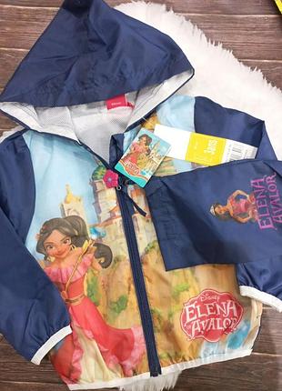 Вітровка. дощовик