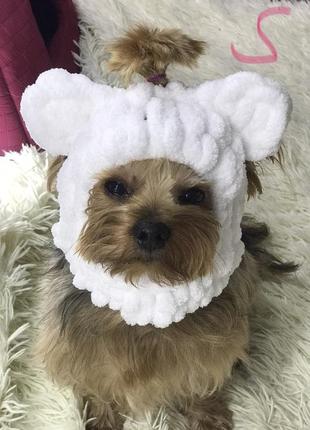 Балаклава шапка на собаку