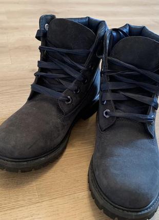 Оригінальні черевики timberland темно-синього кольору