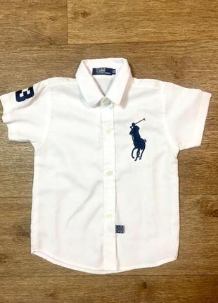 Детская хлопковая рубашка polo ralph lauren kids(6-7лет)оригинал3 фото