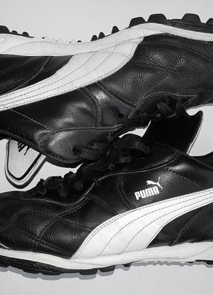 puma esito finale 43 44 750