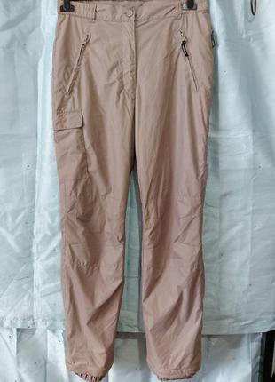 Лижні штани