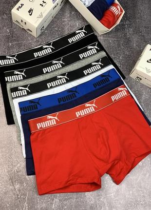 Чоловічі труси puma