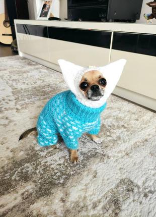 Шапка з закритими вушками для дрібних порід собак:той-тер'єра,йорка,чихуахуа,пінчера