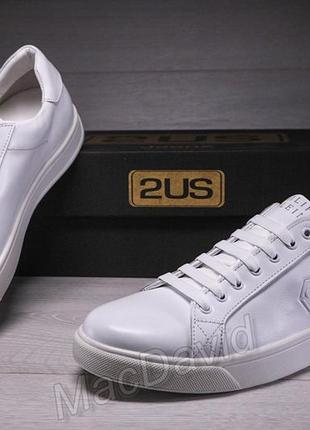 Шкіряні кеди philipp plein, шкіряні кеді, кросівки