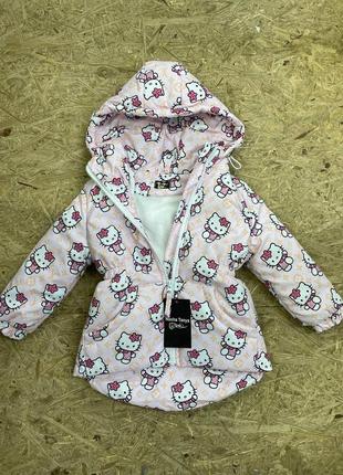 Дитяча демі парка куртка курточка