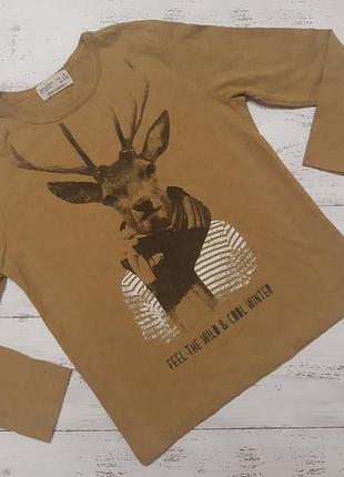 Реглан zara boys 116 см