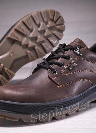 Спортивні шкіряні черевики ecco waterproof nubuck brown10 фото