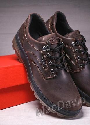 Спортивные кожаные туфли ecco track waterproof brown10 фото