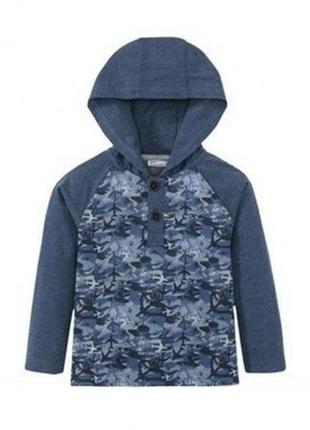 Реглан кофта з капюшоном lupilu