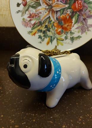 Мопсик копилка