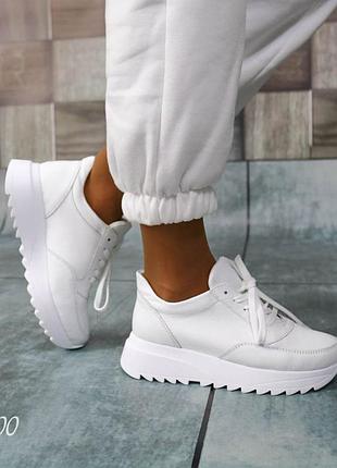 Крагги варежки lenne 4