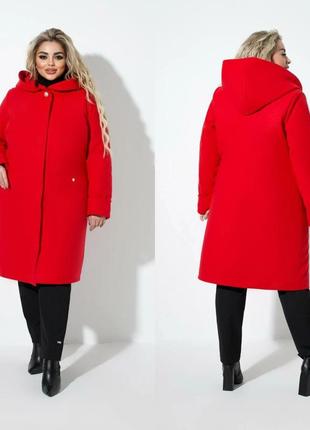 Пальто
ткань кашемир , подкладка синтепон 150 цвета чёрный, бежевый, красный3 фото