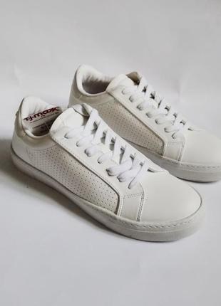 Кросівки-кеди steve madden оригінал