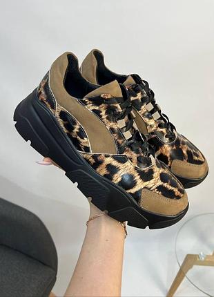 Кроссовки leo 7️⃣0️⃣7️⃣ кожа натуральная замш 36-40