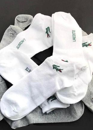 Комплект 9 пар носков lacoste  в подарочной коробке носки на подарок 14 февраля мужчине3 фото