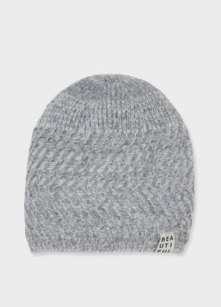 Шапка зимняя на флисе тм c&a, р.158/176(13+).