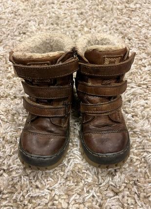 Кожаные коричневые зимние сапоги, ботинки на цигейке , размер 24, стелька 16 см