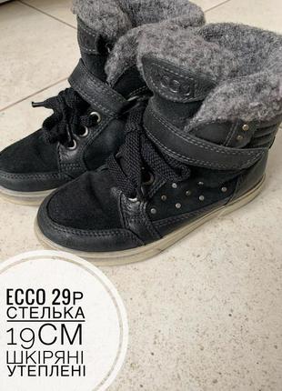 Чобірки ecco 29p