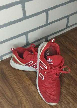 Кроссовки фирмы adidas1 фото