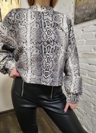 Ковтина bershka