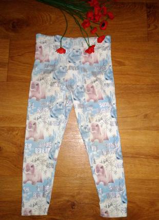 Лосини від некст.