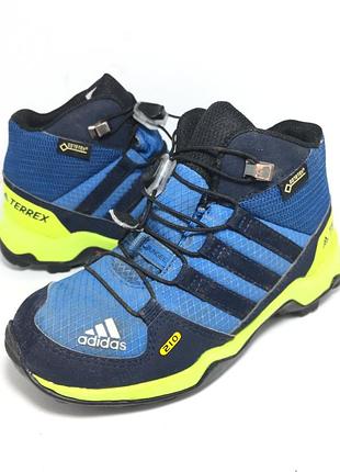 Кросівки adidas terrex