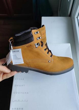 Черевики geox norwolk, в стилі timberland premium 6. оригінал, нові в коробці.1 фото