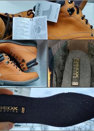 Ботинки geox norwolk, в стиле timberland premium 6. оригинал, новые в коробке.9 фото