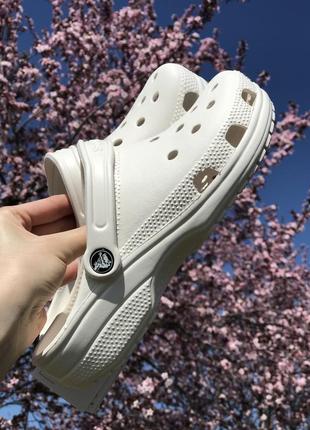 Білі класичні крокси crocs , медобувь