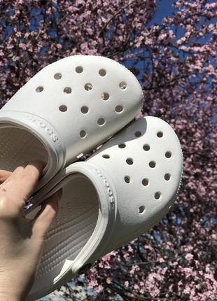 Білі класичні крокси crocs , медобувь2 фото