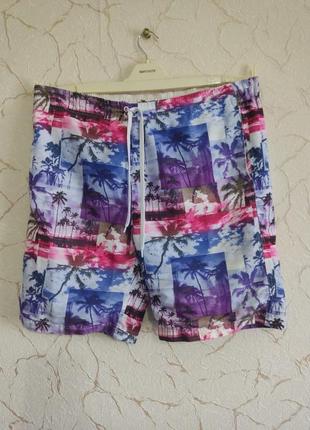 Cedarwood state шорты для плавания
