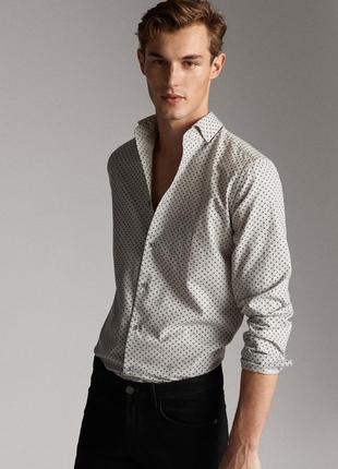 Мужская рубашка massimo dutti