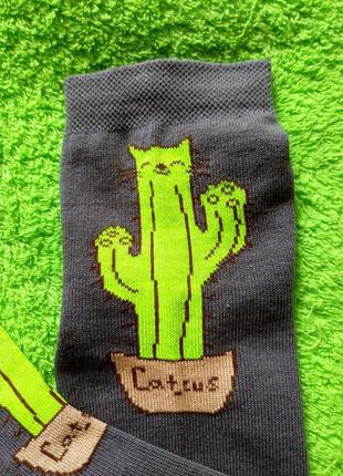 Носки с приколами кот кактус серые1 фото