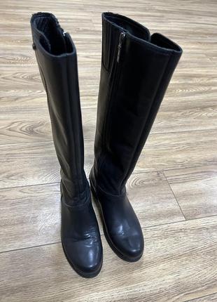 Сапоги ugg 2