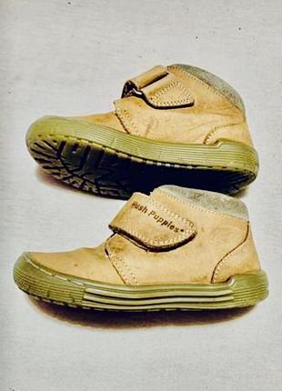 Ботинки кожаные демисезонные на липучке hush puppies (сша)