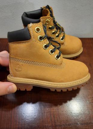 Черевички на весну timberland