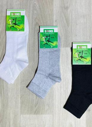 Шкарпетки чоловічі літні сітка бавовна середні житомир розмір 41-45 мікс кольорів опт