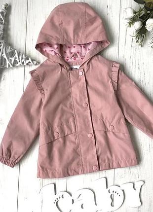 Витровка zara