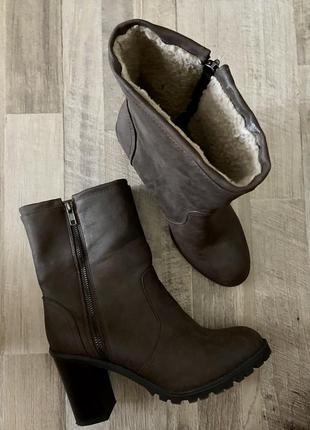 Півчобітки