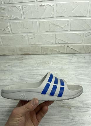 Шлёпанцы adidas