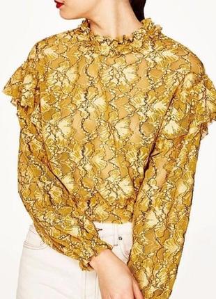 Zara горчичная укороченная блузка с кружевом и рюшами2 фото
