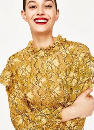 Zara гірчична укорочена блузка з мереживом і рюшами3 фото