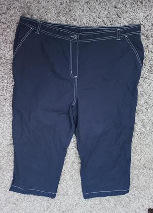 Бріджі 🥰🥰🥰