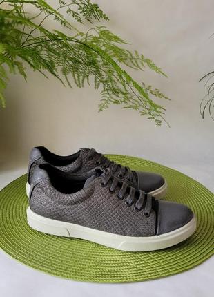 Ecco caden hot sale