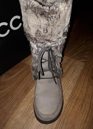 Чоботи бренд ecco