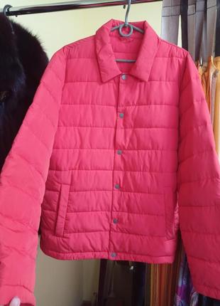 Куртка весна, осінь