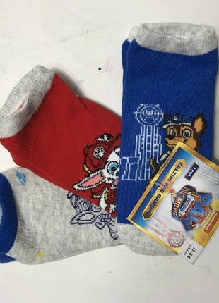 Набір носків щенячий патруль