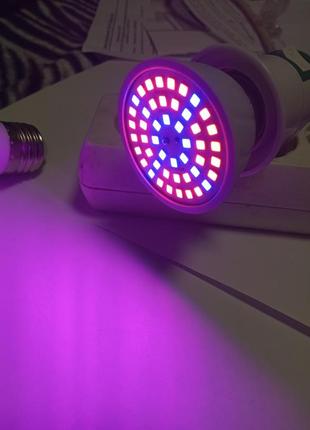 Фіто лампа для рослини і акваріума